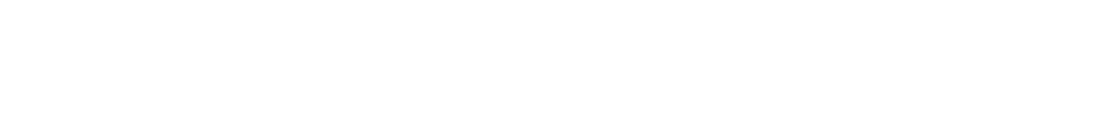 pmg